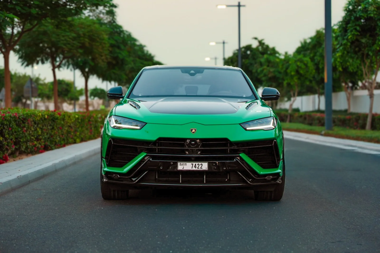Lamborghini-Performante-Green-2